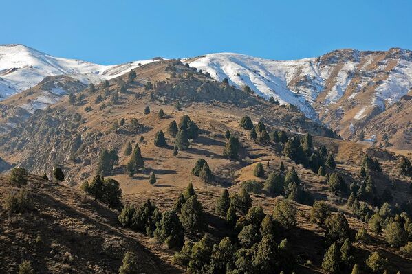 Tog‘ manzaralari - Sputnik O‘zbekiston