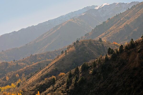 Chodak qishlog‘iga boradigan yo‘lda tog‘ manzaralari - Sputnik O‘zbekiston