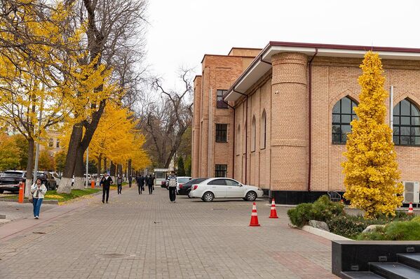 Istina: personalnaya vistavka Ataxana Allabergenova v Tashkente Istina: personalnaya vistavka Ataxana Allabergenova v Tashkente - Sputnik O‘zbekiston