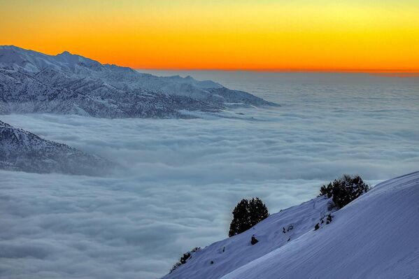 Gori v Uzbekistane - Sputnik O‘zbekiston