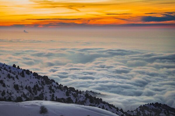 Gori v Uzbekistane - Sputnik O‘zbekiston