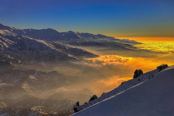 Gori v Uzbekistane - Sputnik O‘zbekiston