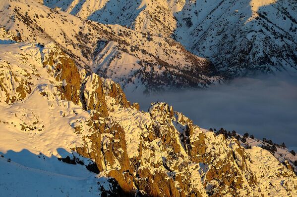 Gori v Uzbekistane - Sputnik O‘zbekiston