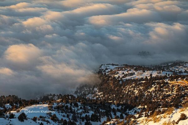 Gori v Uzbekistane - Sputnik O‘zbekiston