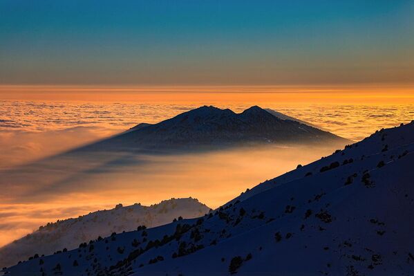 Gori v Uzbekistane - Sputnik O‘zbekiston