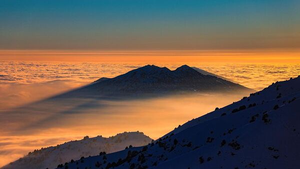 Gori v Uzbekistane - Sputnik O‘zbekiston
