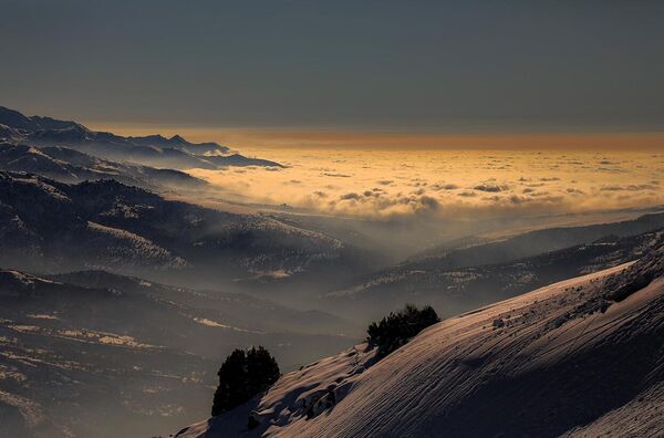 Gori v Uzbekistane - Sputnik O‘zbekiston