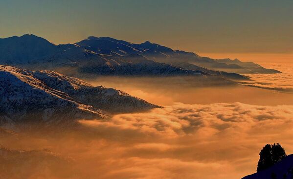 Gori v Uzbekistane - Sputnik O‘zbekiston