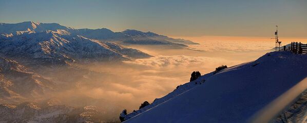 Gori v Uzbekistane - Sputnik O‘zbekiston