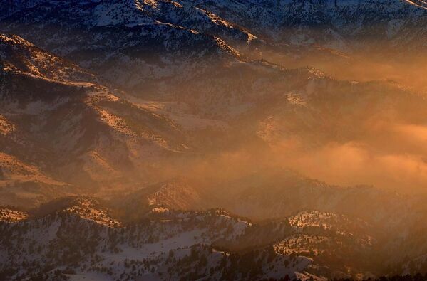 Gori v Uzbekistane - Sputnik O‘zbekiston