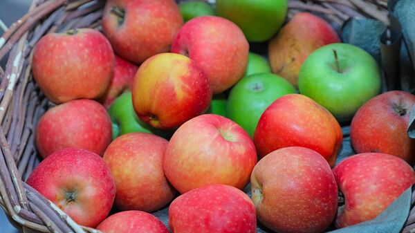 Yabloki v korzine - Sputnik O‘zbekiston