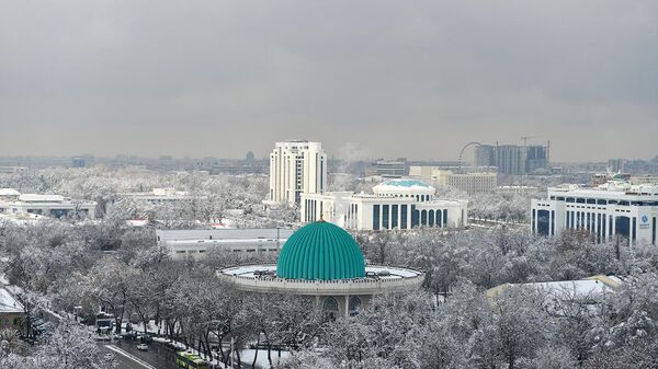 Neojidanniy snegopad v Tashkente: gorod ukrilsya belim pokrovom - Sputnik O‘zbekiston