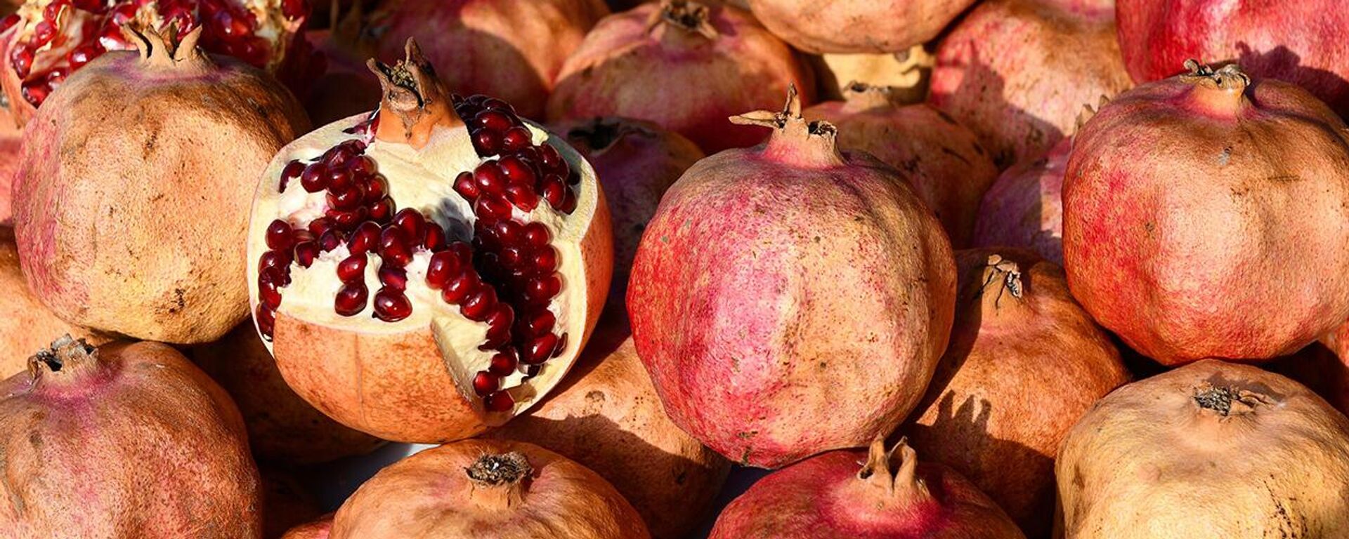 Плоды граната  - Sputnik Узбекистан, 1920, 18.11.2025