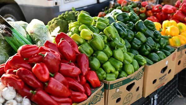 Разноцветный болгарский перец - Sputnik Ўзбекистон