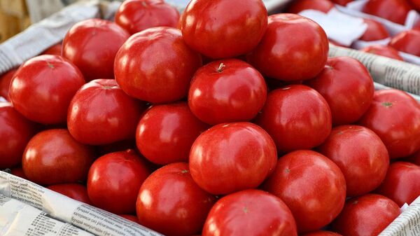 Спелые помидоры  - Sputnik Узбекистан