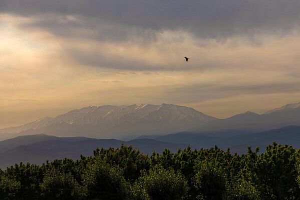 Весна в Ташкентской области - Sputnik Узбекистан