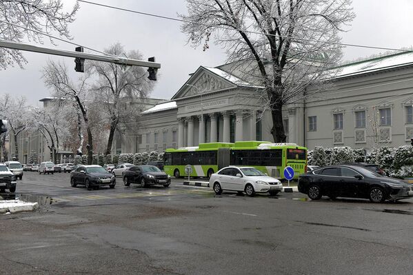 Tashkent vstretil perviy sneg v 2025 godu - Sputnik O‘zbekiston