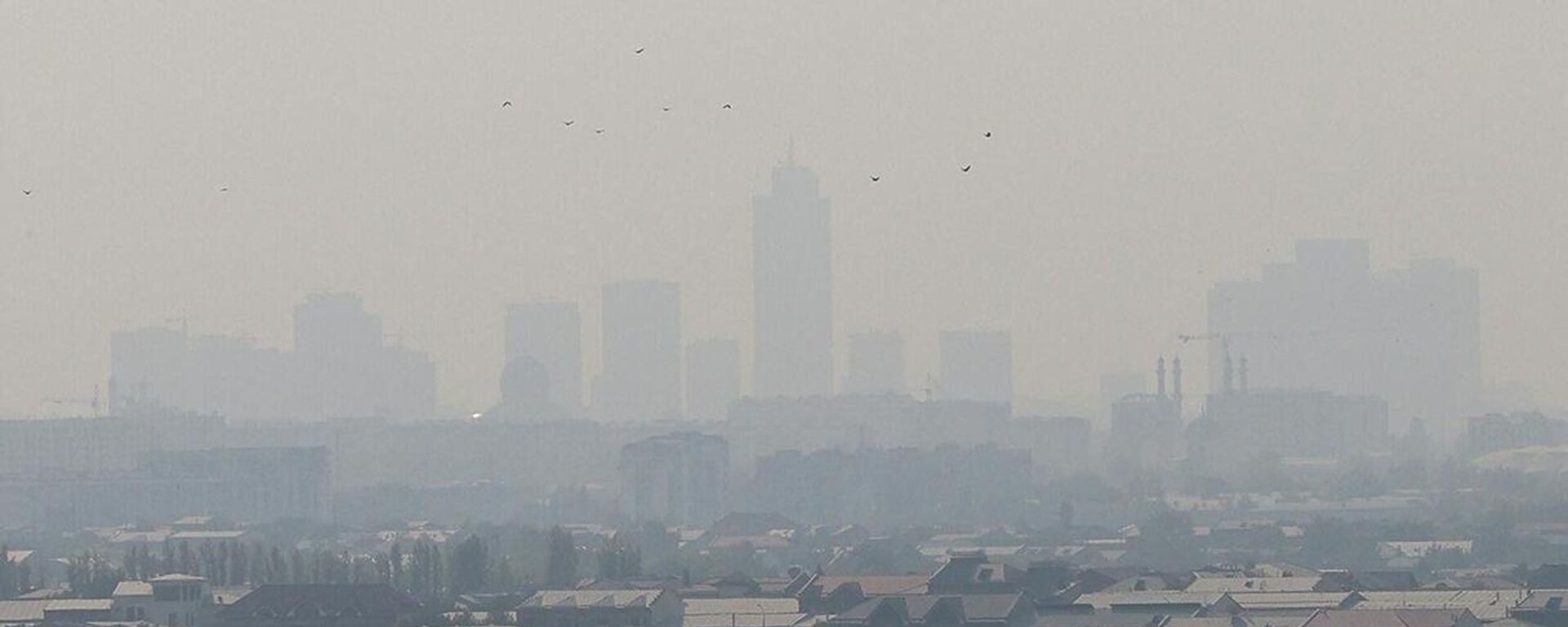 Загрязнение воздуха в Ташкенте - Sputnik Ўзбекистон, 1920, 01.03.2026