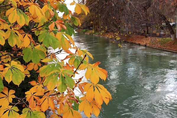 Osen v Tashkente — vremya magkogo sveta i tixix progulok. - Sputnik O‘zbekiston