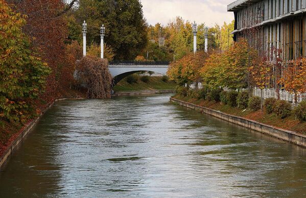 Осень в Ташкенте — время мягкого света и тихих прогулок. - Sputnik Узбекистан