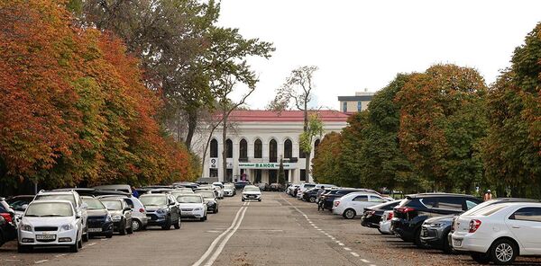 Osen v Tashkente — vremya magkogo sveta i tixix progulok. - Sputnik O‘zbekiston