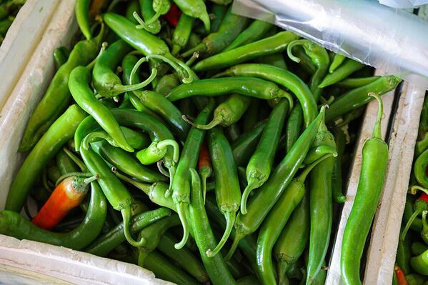 Бозор пештахтасидаги аччиқ яшил қалампир ўзбек ошхонасининг машҳур ингредиентларидан биридир - Sputnik Ўзбекистон