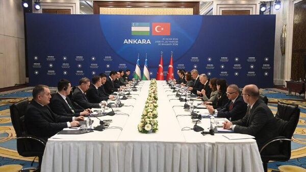 Главы МИД Турции и Узбекистана обсудили торговлю и энергетическую безопасность - Sputnik Узбекистан