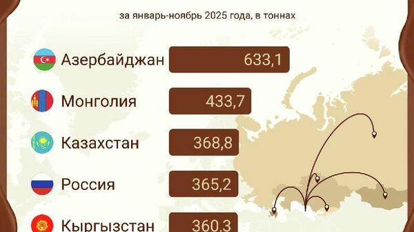 В январе–ноябре 2025 года Узбекистан экспортировал шоколадные изделия в 24 зарубежные страны на сумму $8,7 млн - Sputnik Узбекистан