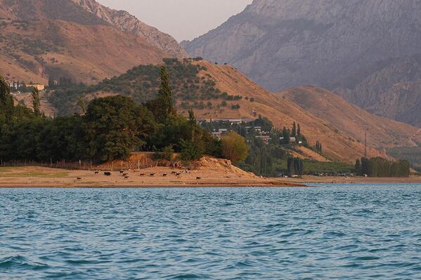 Yakkatut — tixiy ray u beregov Charvaka - Sputnik O‘zbekiston