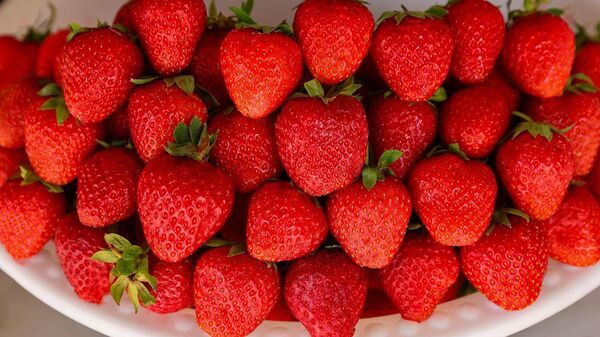 Клубника - Sputnik Узбекистан