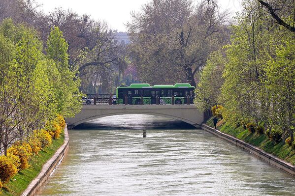 O‘rdadagi ko‘prikni ko‘pincha Toshkentning asosiy ko‘prigi deb atashadi. Tarixan shahar Bo‘zsuv kanalining o‘ng qirg‘og‘ida joylashgan bo‘lib, uning quyi oqimi Anhor deb ataladi. Toshkent Qo‘qon xonligiga qo‘shib olingandan so‘ng chap qirg‘oqda, zamonaviy Turkiston saroyi o‘rnida O‘rda qal’asi barpo etilgan  - Sputnik O‘zbekiston