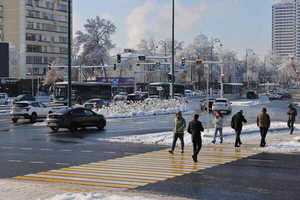 Ҳаво совуқ бўлишига қарамай, ҳамма ишга, уйга шошади - Sputnik Ўзбекистон