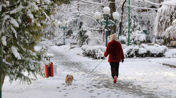 Ташкент после снегопада - Sputnik Узбекистан