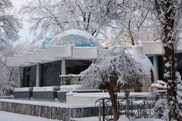 Қорли Тошкент - Sputnik Ўзбекистон