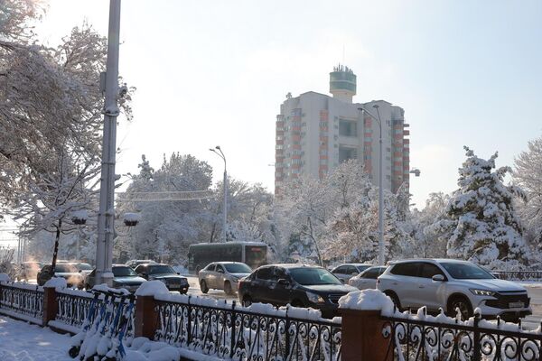 Қорли Тошкент манзаралари - Sputnik Ўзбекистон