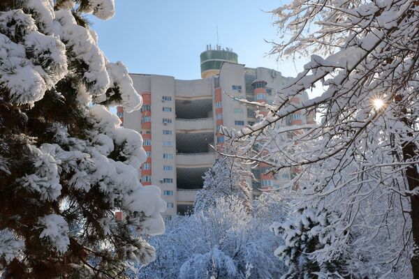 Дарахтлар оппоқ либос кийди - Sputnik Ўзбекистон