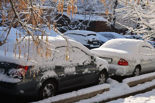 Машиналар ҳам оппоқ бўлди - Sputnik Ўзбекистон