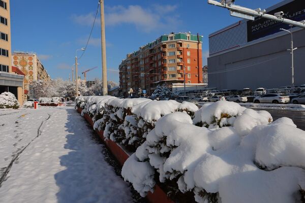 Тошкентда ёққан қор - Sputnik Ўзбекистон