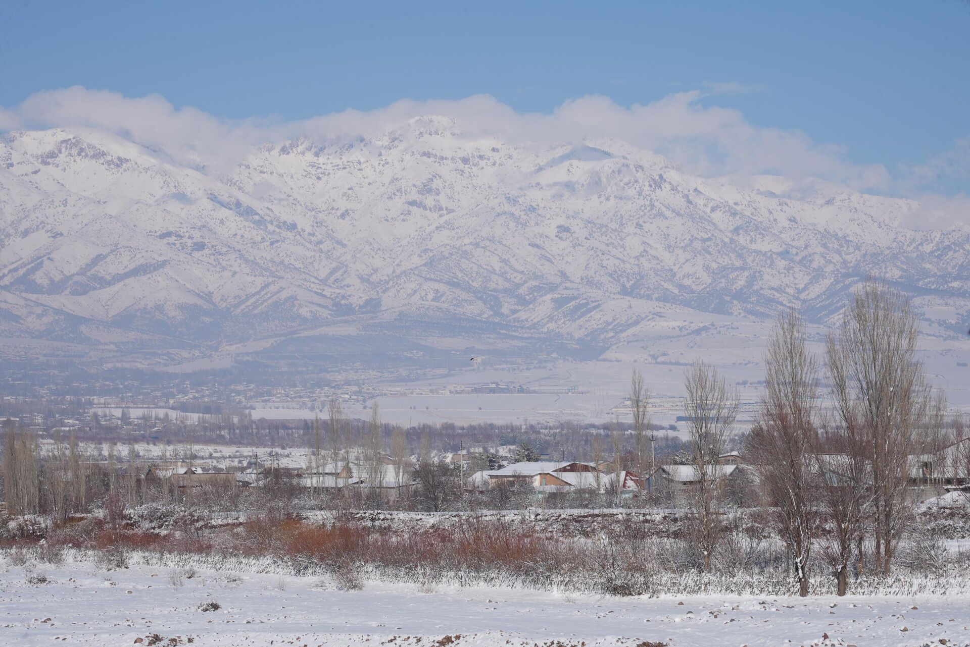 В Бостанлыкском районе прошли общественные слушания по проекту Sea Breeze Uzbekistan - Sputnik Ўзбекистон, 1920, 23.01.2026