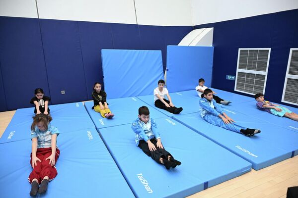 Члены Исполнительного комитета World Aquatics посетили Олимпийский городок - Sputnik Узбекистан