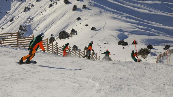 Gornolijniy sport v Uzbekistane - Sputnik O‘zbekiston