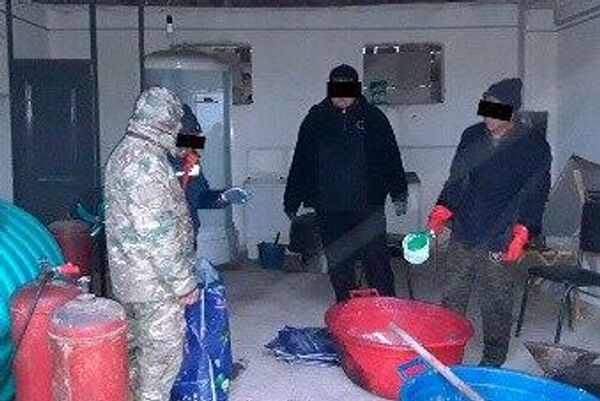 В Навои накрыли группу нелегальных золотодобытчиков В Навои накрыли группу нелегальных золотодобытчиков - Sputnik Узбекистан