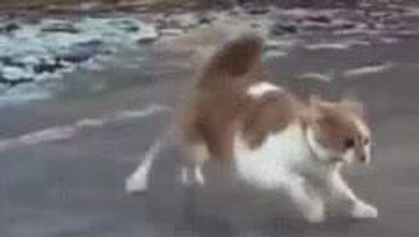 Сегодня в Узбекистане ожидается морозная и сухая погода - Sputnik Узбекистан