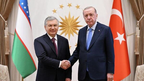 Президенты Узбекистана и Турции провели в Анкаре встречу в узком формате - Sputnik Узбекистан