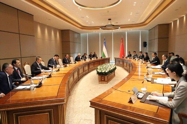 В Самарканде прошел узбекско-китайский симпозиум археологов - Sputnik Узбекистан