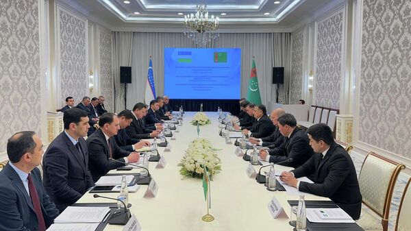 Состоялось заседание узбекско-туркменской межправкомиссии по вопросам водного хозяйства - Sputnik Ўзбекистон