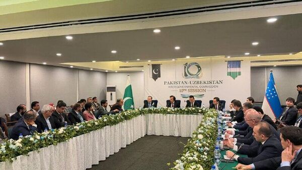 Узбекистан и Пакистан договорились согласовать фитосанитарные требования для экспорта узбекских яблок, инжира, лимонов и острого перца - Sputnik Узбекистан