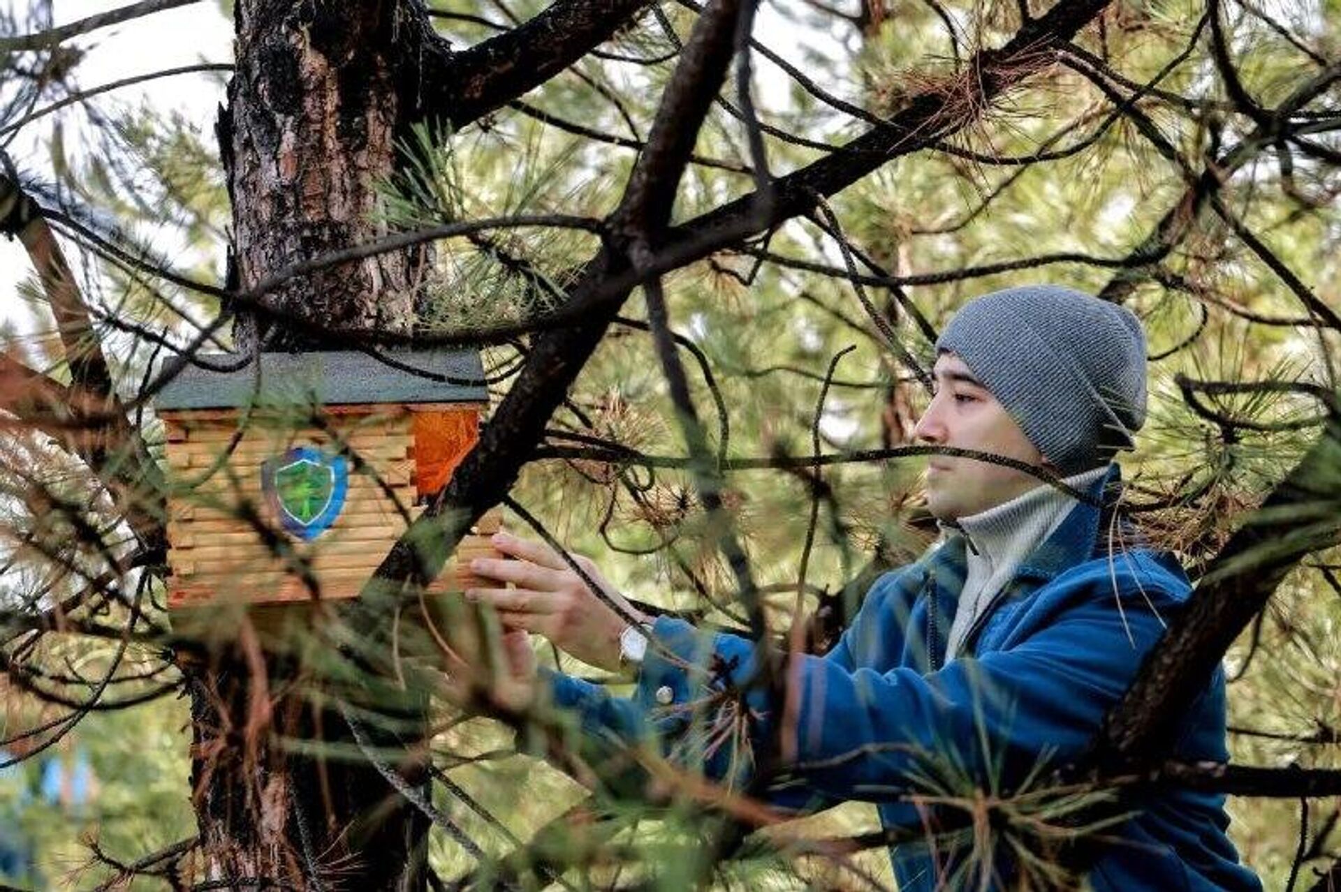 На Аллее литераторов в Ташкенте установили скворечники и раздали корм - Sputnik Узбекистан, 1920, 04.02.2026