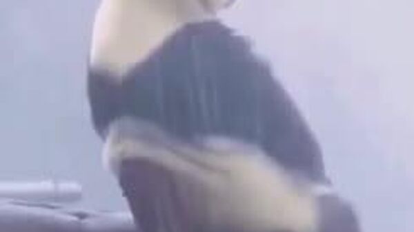 Сегодня на севере Узбекистана ожидается снег - Sputnik Узбекистан