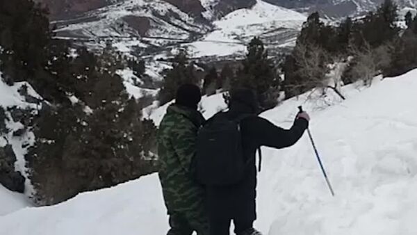 Сотрудники МЧС спасли узбекистанцев, застрявших на заснеженном Чимгане - Sputnik Узбекистан